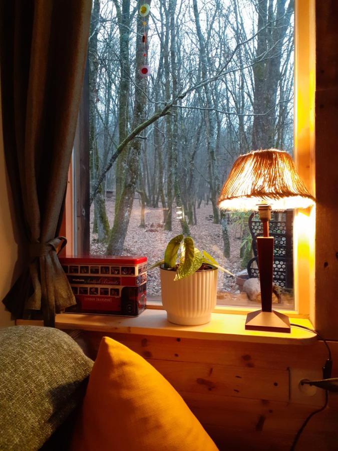 Le Gite De La Cabane De L'Oiseau Couze-et-Saint-Front Екстер'єр фото