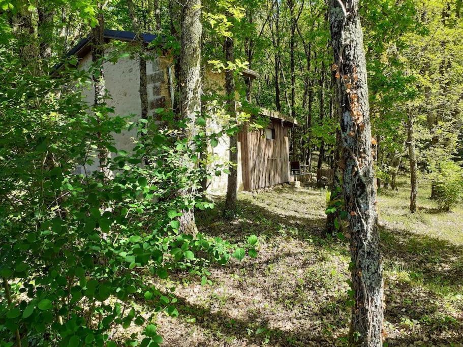 Le Gite De La Cabane De L'Oiseau Couze-et-Saint-Front Екстер'єр фото
